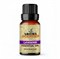 Aroma Scented Essential Oil 10 ml., Эфирное масло в ассортименте 10 мл. - Lavender Лаванда - фото 5026