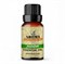 Aroma Scented Essential Oil 10 ml., Эфирное масло в ассортименте 10 мл. - Jasmine Жасмин - фото 5027